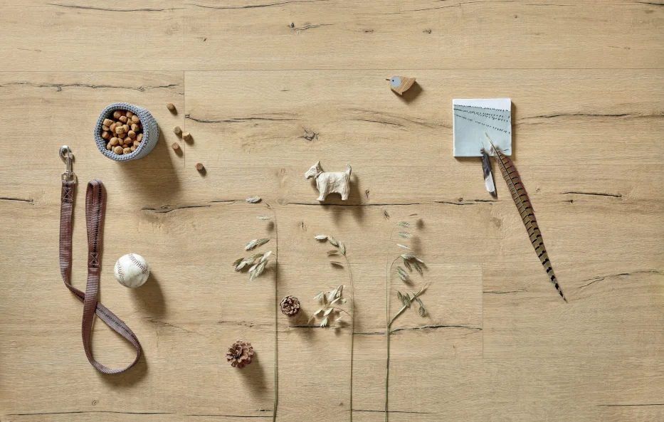 Nachhaltigkeit von Designböden bei Holz-Wiegand in Würzburg Teaserbild zum Thema Wohngesunde Designböden von Holz-Wiegand in Würzburg